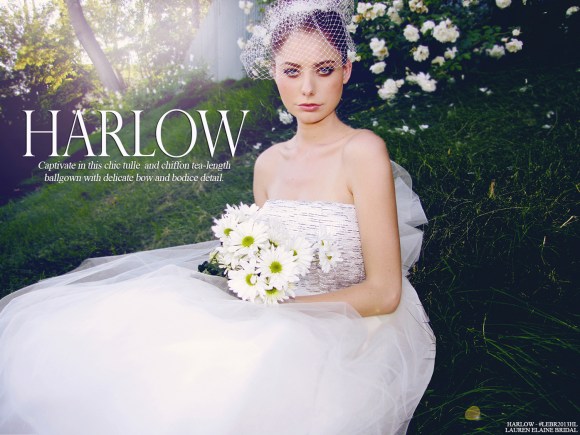 HarlowLookbookCover