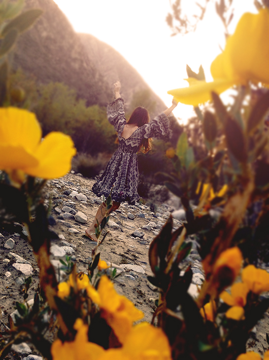 SundaySafari1laurenelainepowellwithblur