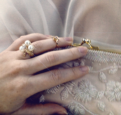 LaurenElaineLOVEISHEROICdetails