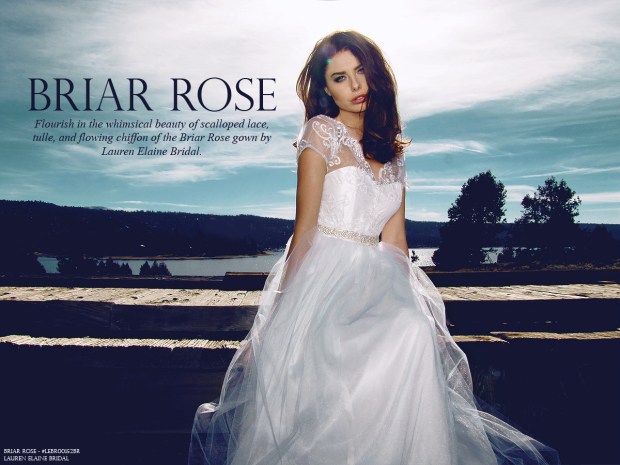 BriarRoseLookbookCover