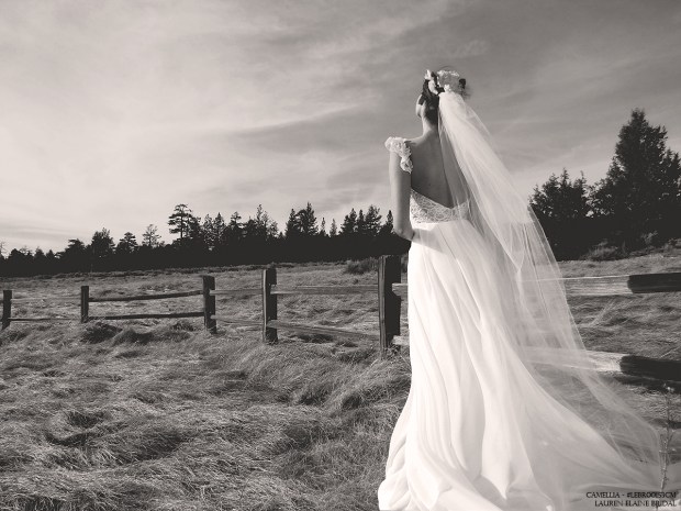 Ethereal chiffon and lace illusion backless wedding gown, Camellia by Lauren Elaine Bridal