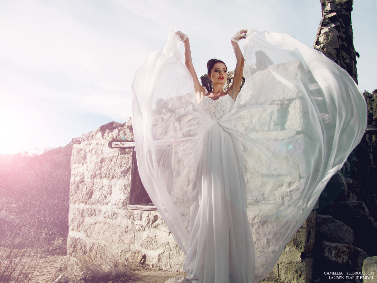 Bohemian wedding dress by Lauren Elaine Bridal. Vintage lace and chiffon sweetheart wedding dress with capped sleeves.