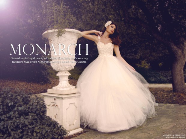 Monarch Gown by Lauren Elaine Bridal, Illusion Lace & Tulle  Ball Gown