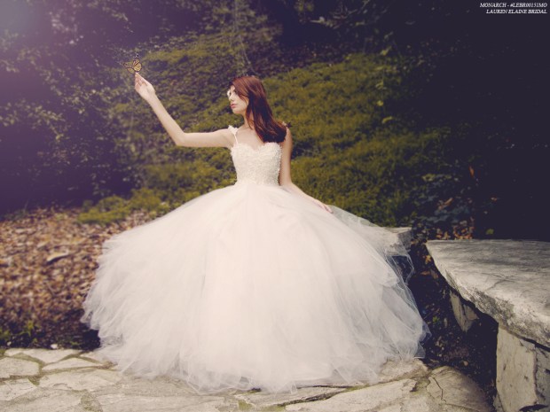 Monarch Gown by Lauren Elaine Bridal, Illusion Lace & Tulle  Ball Gown