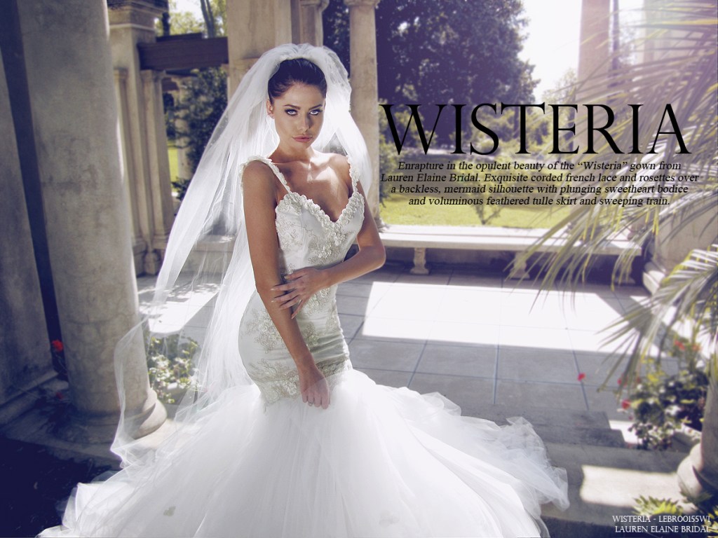 Wisterialookbookcover