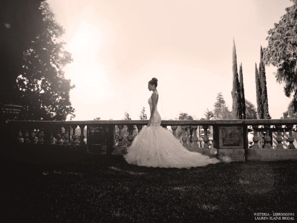 WisteriaLookbookpg12