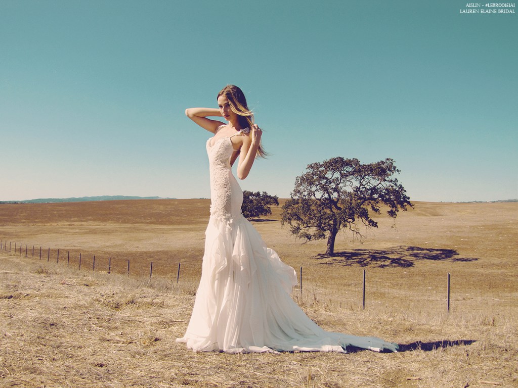 Mermaid and trumpet wedding dresses