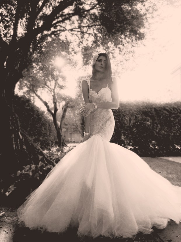 Lauren Elaine "Calais" mermaid gown with v-cut and cathedral lace train