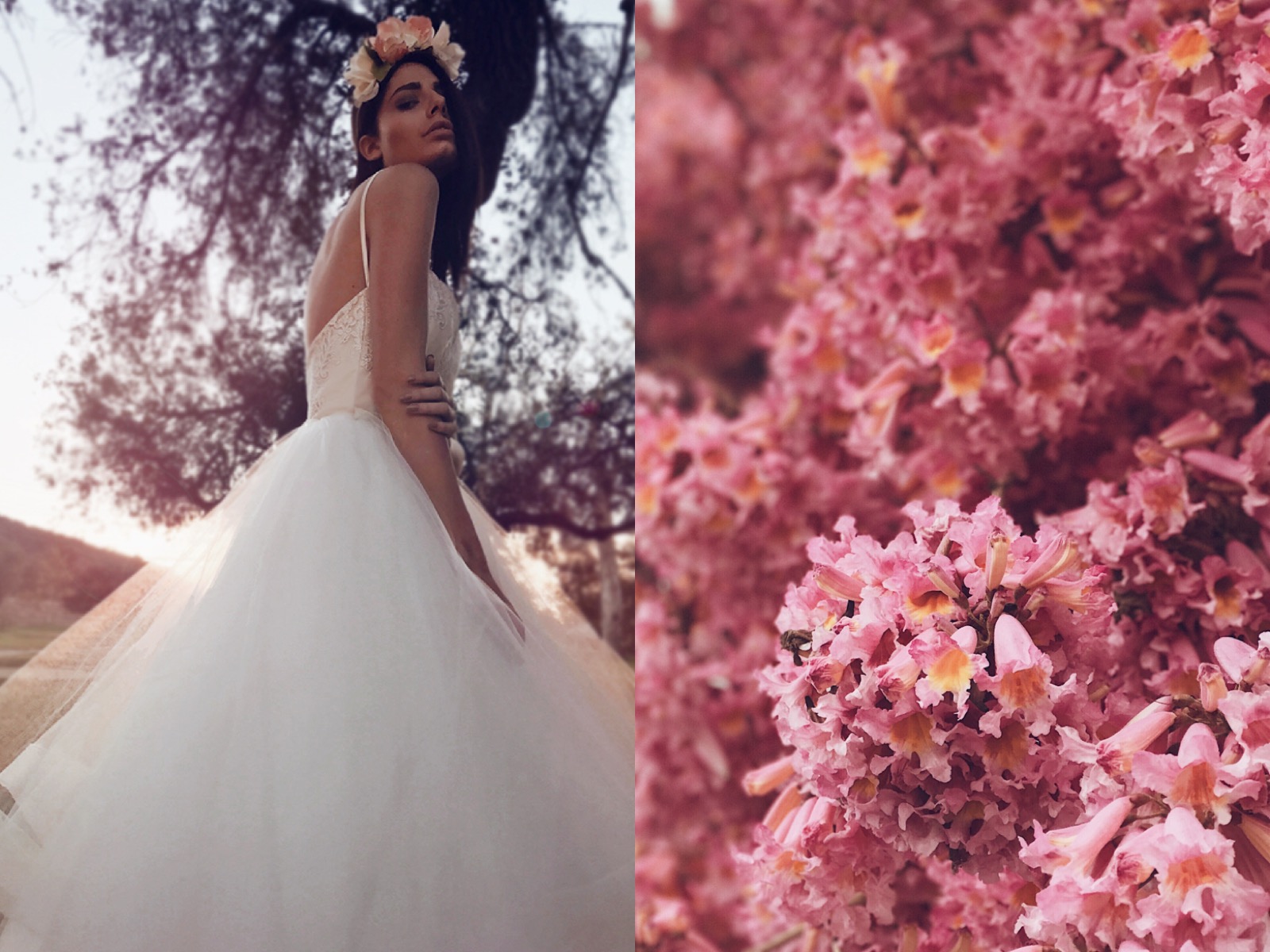 fairytale princess pink blush wedding gowns wedding dresses lauren elaine bridal los angeles