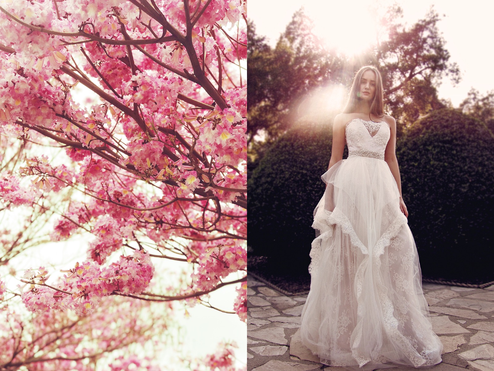 best blush wedding gowns wedding dresses lauren elaine bridal los angeles 