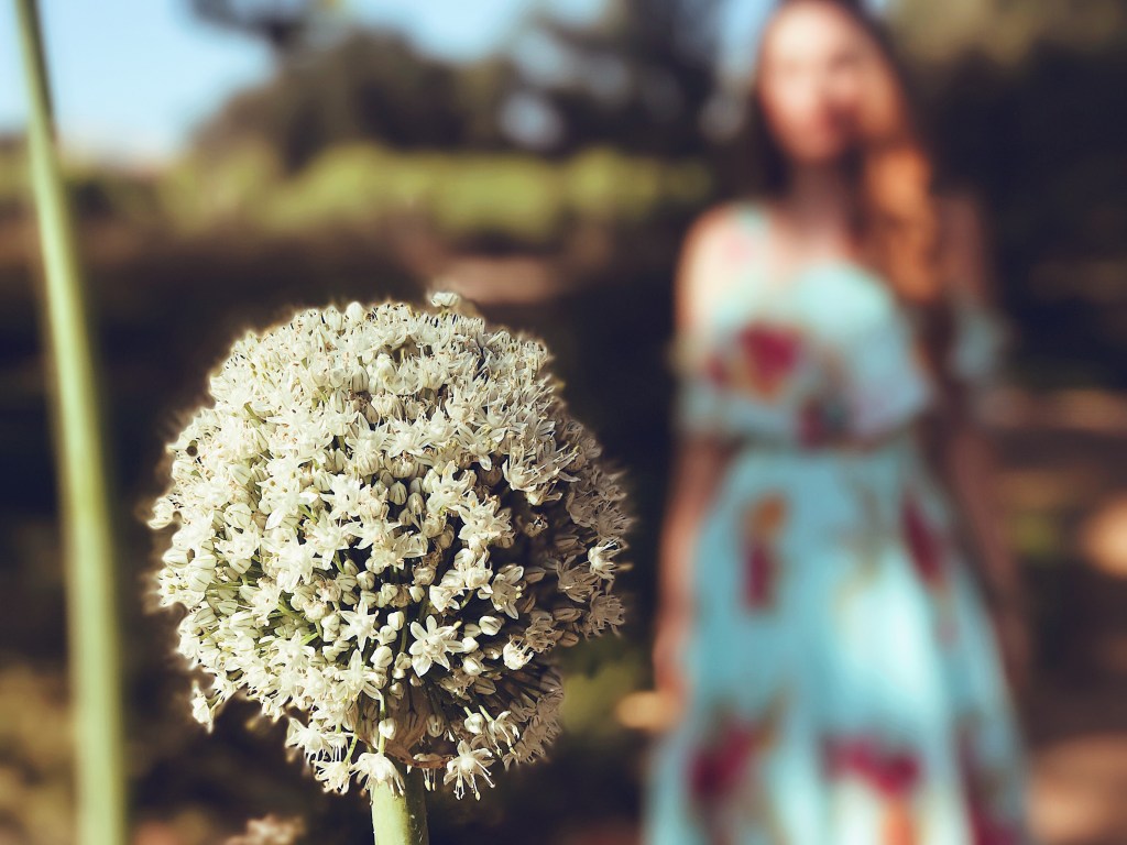 Fashion Designer Lauren Elaine visits Fess Parker Winery in Los Olivos, California