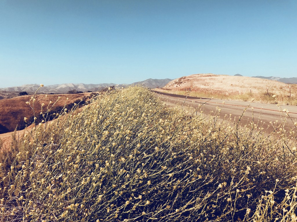 Foxen Canyon wine Trail in Los Olivos Santa Ynez California