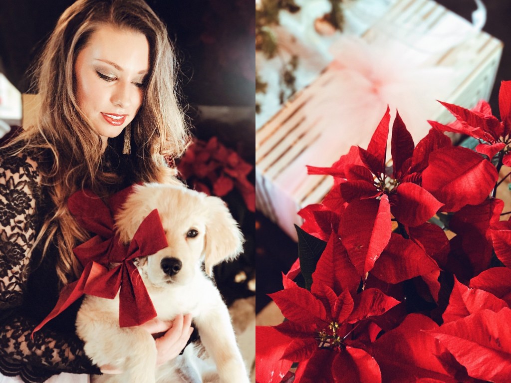 Fashion Designer Lauren Elaine poses in front a Holiday Poinsettia display with her Golden Retriever puppy, Mojave.