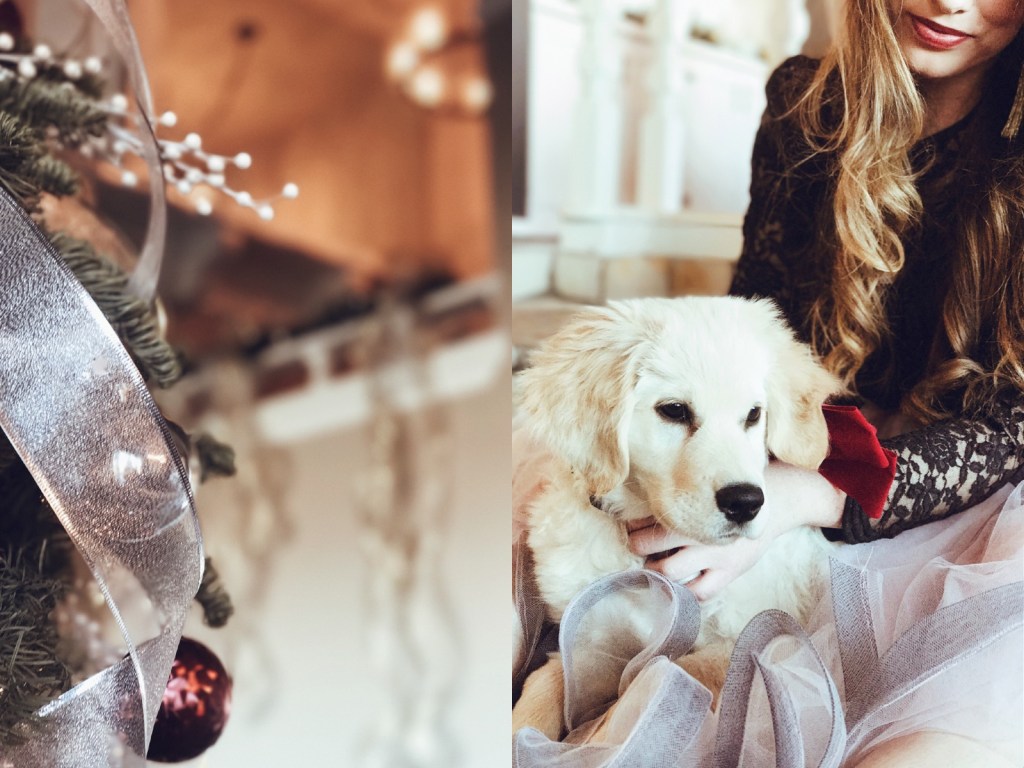 Fashion Designer Lauren Elaine poses for Christmas photos with her Golden Retriever puppy, Mojave at home in Los Angeles