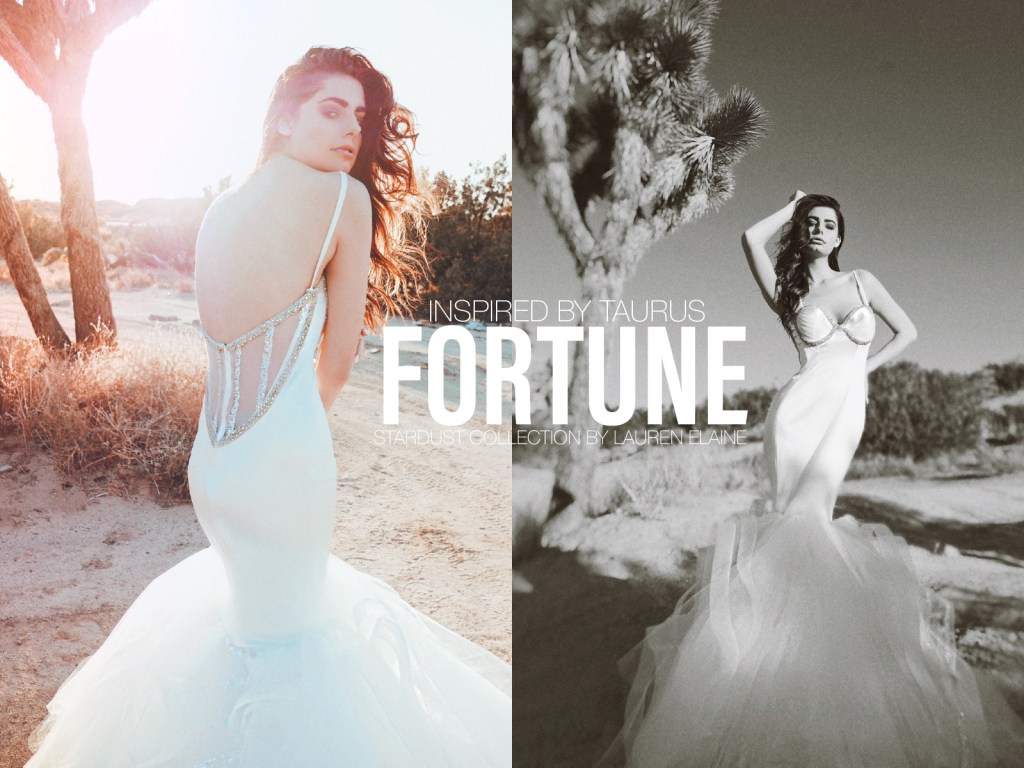 Fortune satin crystal corset mermaid wedding dress inspired by Taurus by Lauren Elaine Bridal Los Angeles.