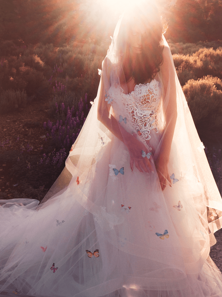 Lauren Elaine Butterfly rainbow wedding dress and butterfly tulle wedding veil.