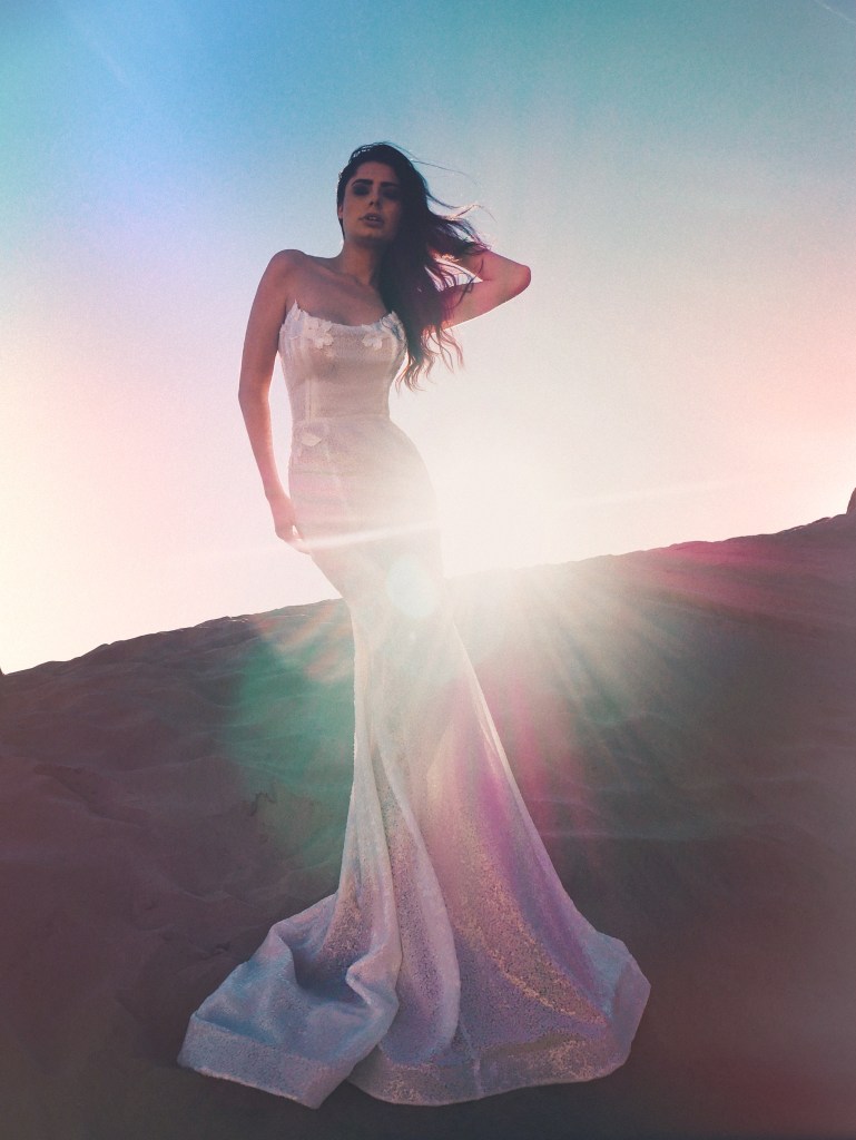 Lauren Elaine Atlas wedding dress inspired by Capricorn Zodiac sign.