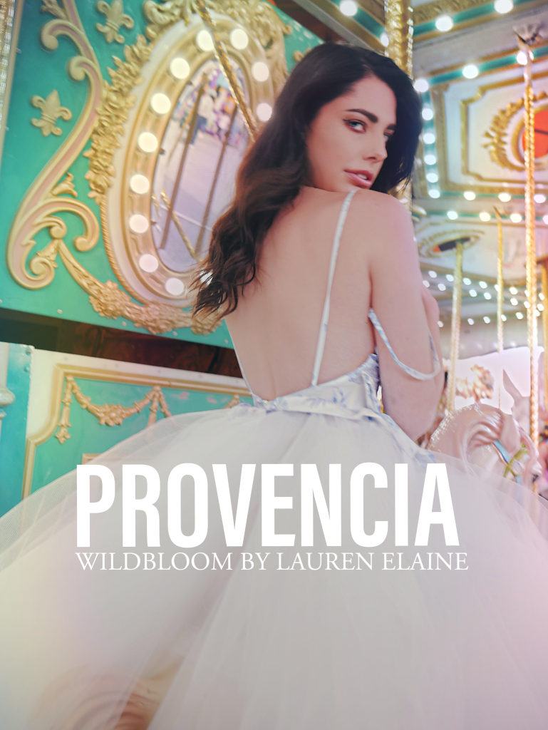 Provencia toile mini bustier corset wedding dress by Lauren Elaine Bridal