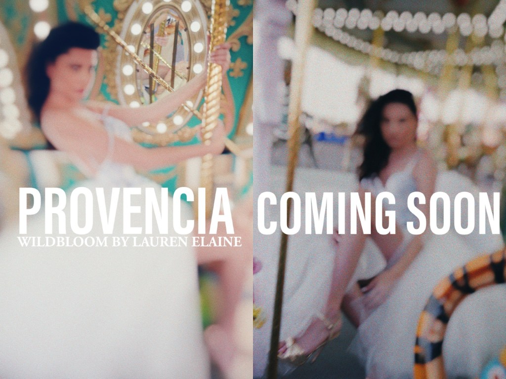 Provencia blue toile mini bridal dress by Lauren Elaine.