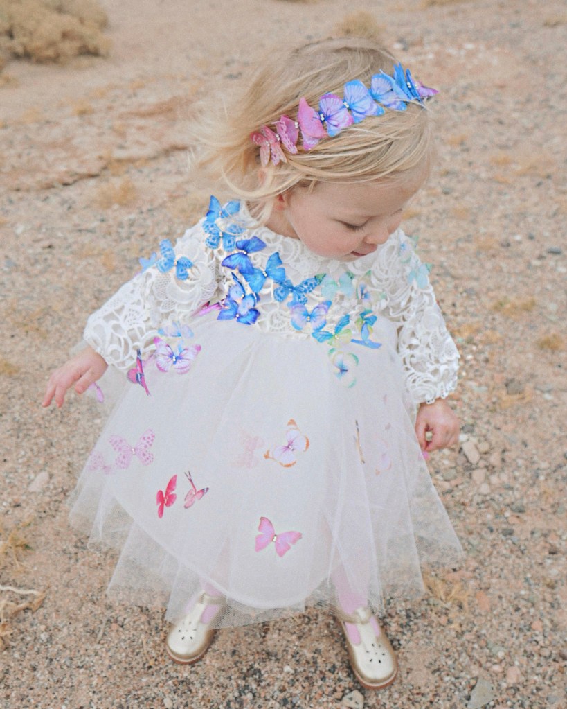 Lauren Elaine Rainbow Butterfly Bouquet lace ombré flower girl or special occasion dress