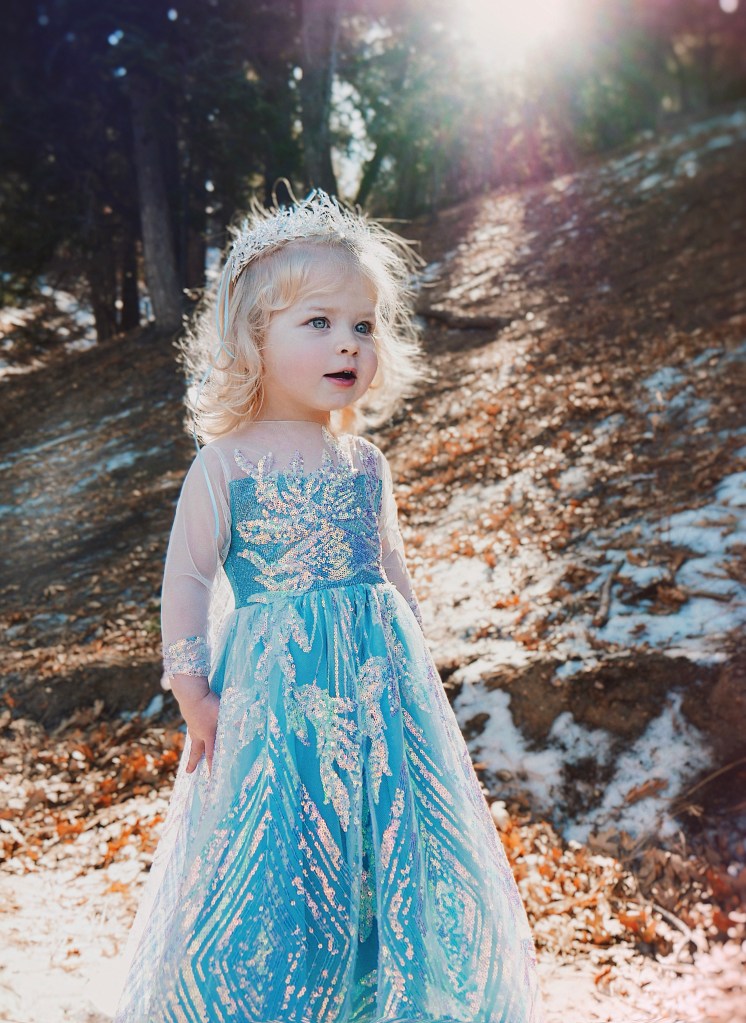 Faire Everlaine wears the Laure Elaine Snow Queen Princess Dress